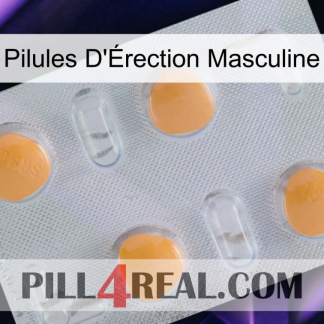 Male Erection Pills 24